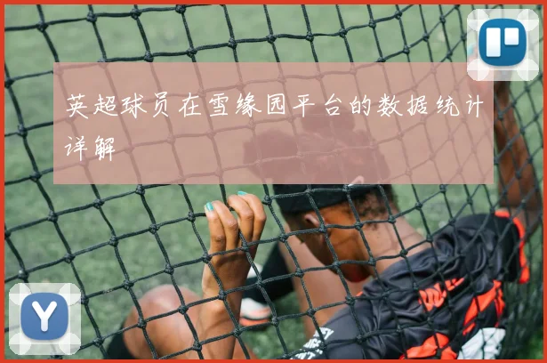英超球员在雪缘园平台的数据统计详解