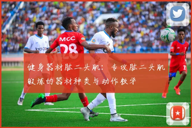 健身器材肱二头肌：专攻肱二头肌锻炼的器材种类与动作教学