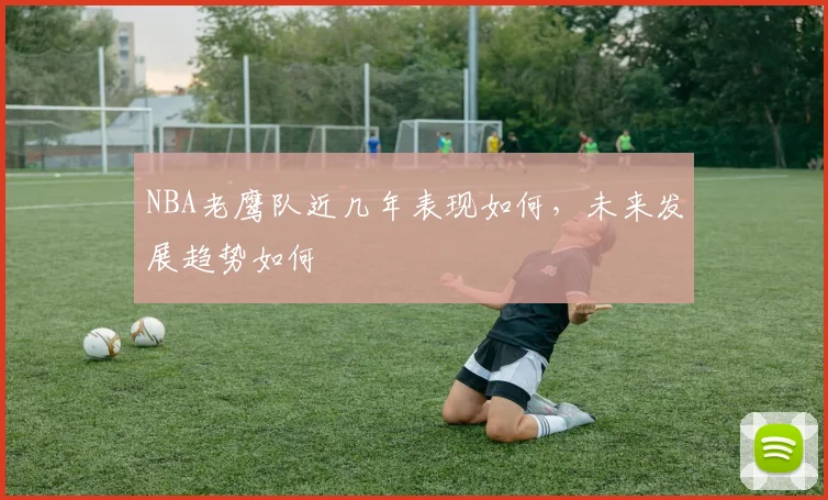 NBA老鹰队近几年表现如何，未来发展趋势如何